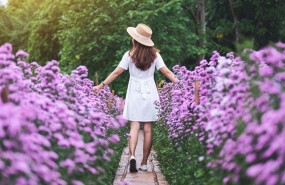 adobestock 383793632 lq adobestock 383793632 lq