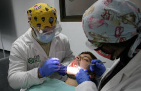 albor blended 1 20221109140726 