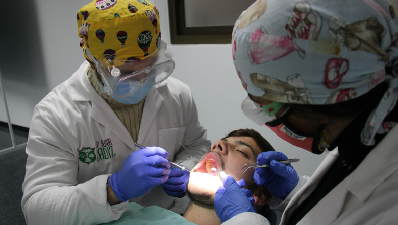 albor blended 1 20221109140726 