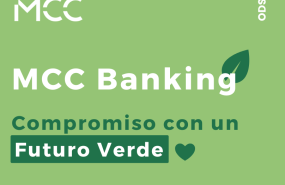 copia de copia de behance 23 copia de copia de behance 23