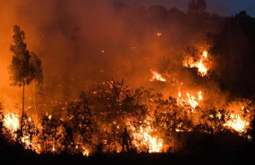 ep archivo   vista del incendio forestal en el monte galleiro a 6 de abril de 2026 en ribadetea