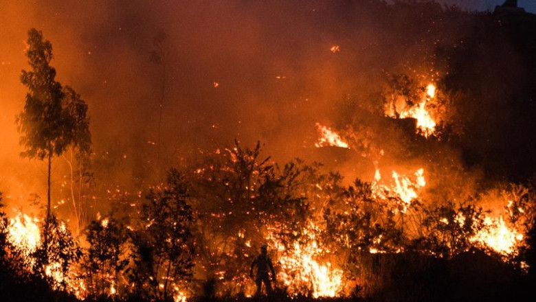 ep archivo vista del incendio forestal en el monte galleiro a 6 de abril de 2026 en ribadetea ep archivo vista del incendio forestal en el monte galleiro a 6 de abril de 2026 en ribadetea