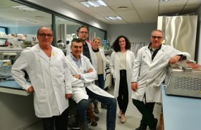 ep cibercv
