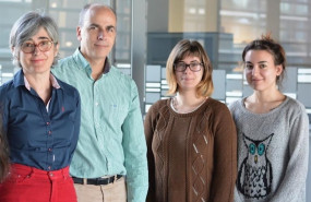 ep investigadores del cimus buscan mecenas para desarrollar farmacos contra malformaciones