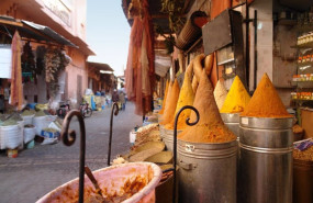 ep travelplan avoris amplia su oferta en 2025 con nuevas rutas a india gambia y djerba tunez entre