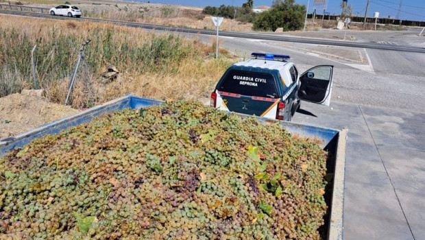 ep uva intervenida por la guardia civil en los controles de vigilancia por la vendimia en el marco