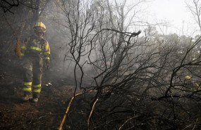 ep varios bomberos forestales