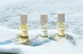 1613038237 maar1 1613038237 maar1