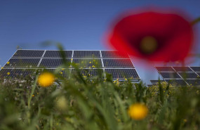 1614596743 notarpanaro