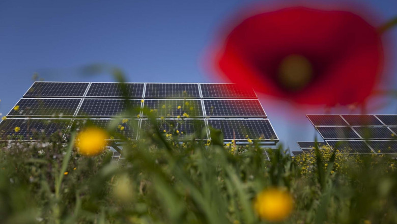 1614596743 notarpanaro