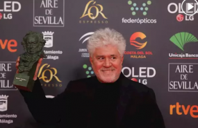 almodovar goya