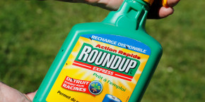 bayer-serait-pret-a-transiger-pour-8-milliards-de-dollars-sur-le-roundup bayer-serait-pret-a-transiger-pour-8-milliards-de-dollars-sur-le-roundup