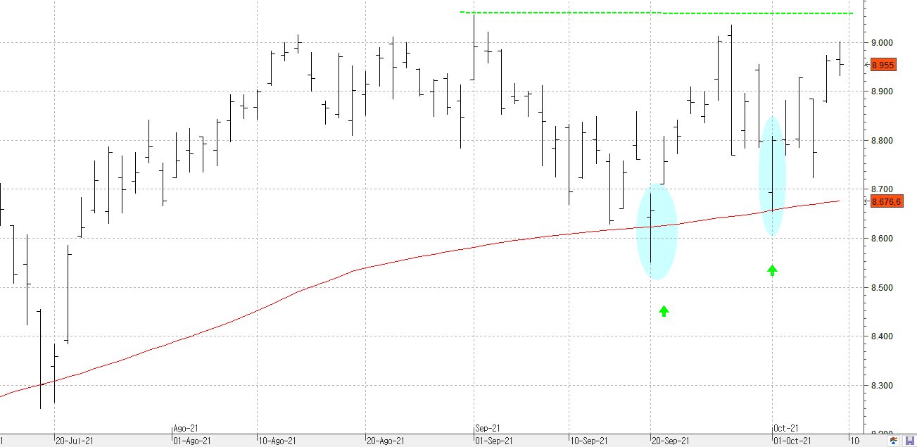 c081021ibex