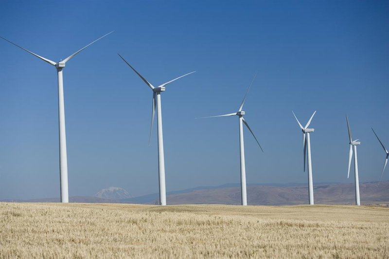 Trump quiere bloquear dos proyectos eólicos marinos de Avangrid (Iberdrola)