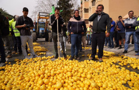 ep archivo   agricultores arrojan limones en la puerta de la subdelegacion del gobierno de malaga