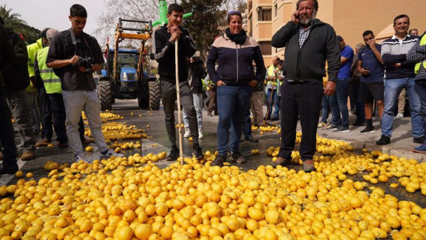 ep archivo   agricultores arrojan limones en la puerta de la subdelegacion del gobierno de malaga