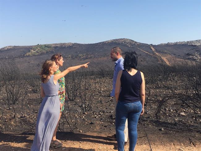 ep fotografias incendios