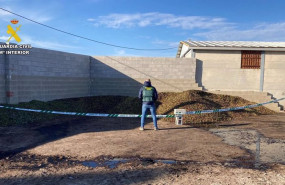 ep inmovilizados 9000 kilos de aceitunas no aptas para el consumo humano en salvatierra de santiago