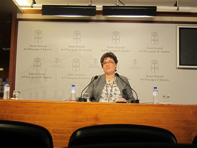 Marta Pulgar, diputada de IU en la JGPA | EUROPA PRESS - Archivo ep marta pulgar diputadaiula jgpa