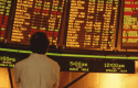 tradercbopciones