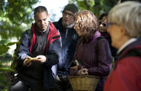 1607345247 mg 0880 1607345247 mg 0880