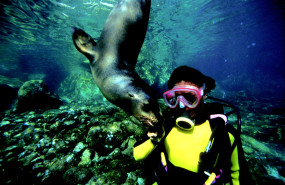 buceo 