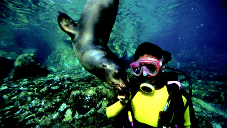 buceo 