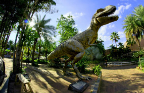 dino 2 20260527100315 dino 2 20260527100315