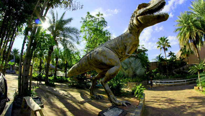 dino 2 20260527100315 