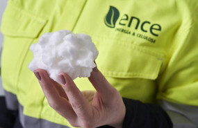 ep archivo   ence 20260112134103