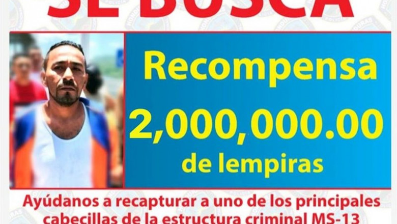 Cártel con recompensa para detener a Alexander Mendoza, 'Porkis' | POLICÍA NACIONAL DE HONDURAS ep cartel con recompensa para detener a alexander mendoza porkis