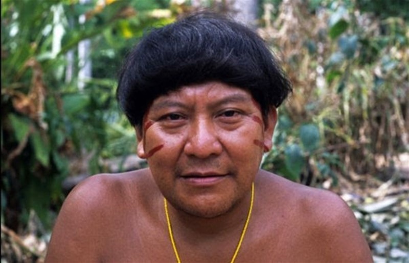 ep davi kopenawa ha sido galardonado con el premio nobel alternativo