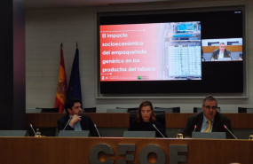 ep la directora general de la mesa del tabaco agueda garcia agullo durante la presentacion del