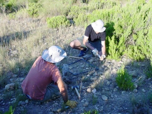 ep los investigadores realizaron un muestreo global en 235 localizaciones de seis continentes y 18 ep los investigadores realizaron un muestreo global en 235 localizaciones de seis continentes y 18
