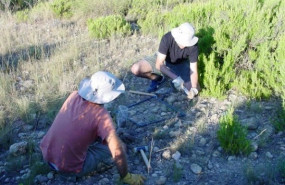 ep los investigadores realizaron un muestreo global en 235 localizaciones de seis continentes y 18