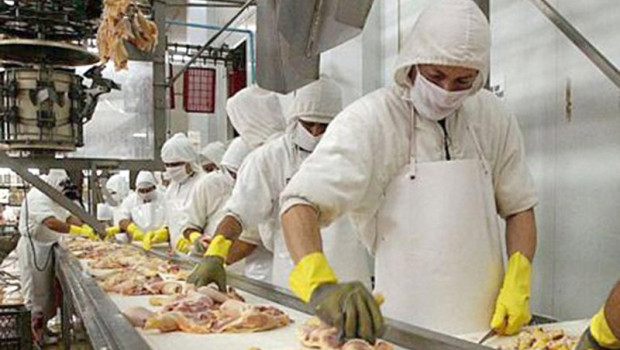 ep matadero de conejos y pollos