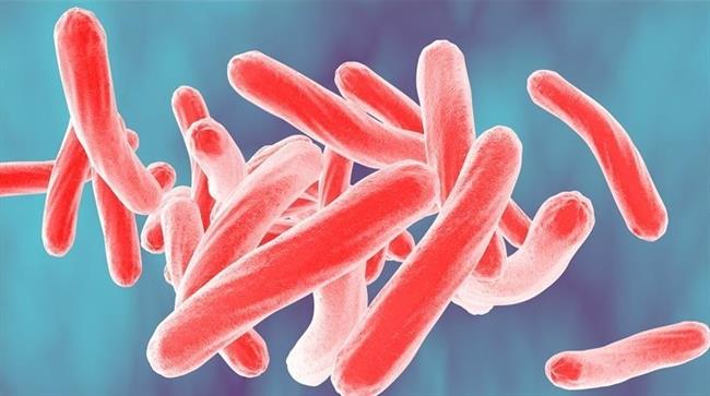 Nueva cepa multirresistente de tuberculosis | UNIVERSIDAD DE ZURICH ep nueva cepa multirresistentetuberculosis