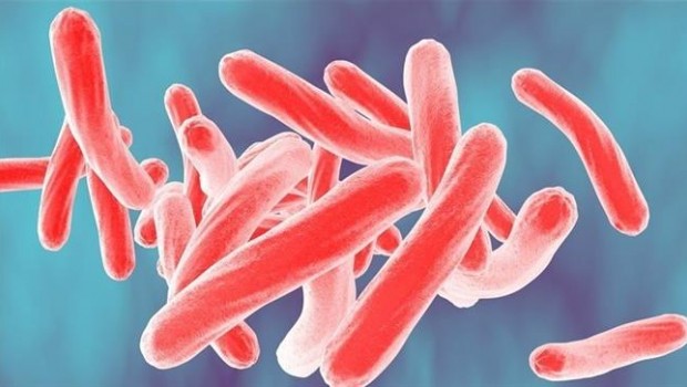 ep nueva cepa multirresistentetuberculosis