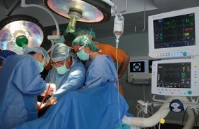 ep trasplantehigadohospitalbellvitge
