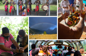 ndp panama fitur ndp panama fitur