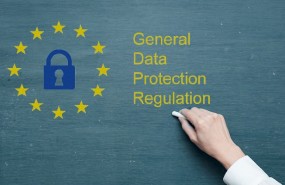 reglamento proteccion datos