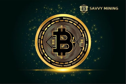 savvy5 savvy5