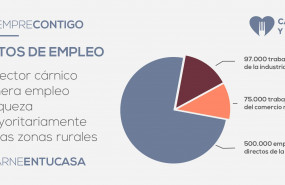 1588694314 empleo 14