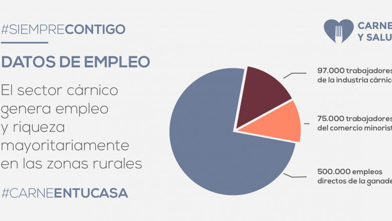 1588694314 empleo 14