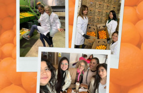 333831083 145590998412268 8242662984376448183 n