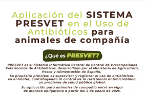 captura de pantalla 2025 01 08 a las 180835 1 captura de pantalla 2025 01 08 a las 180835 1