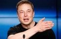 elon-musk 1 elon-musk 1