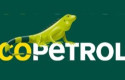 ep archivo   logo de ecopetrol 20260303145104
