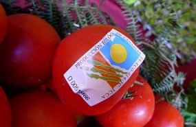 ep archivo   mercadillo de productos ecologicos