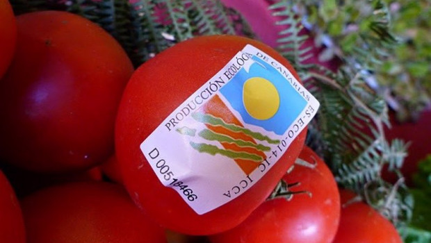 ep archivo   mercadillo de productos ecologicos